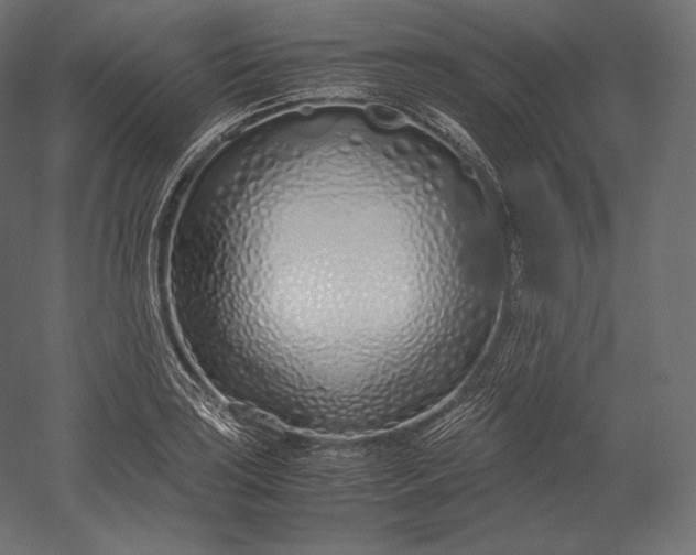 X0000051251035200507011647