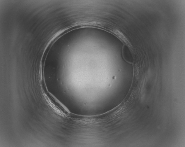 X0000051251036200507011647