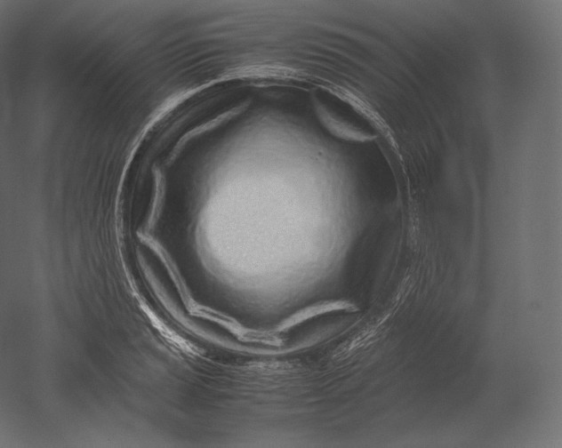 X0000051251037200507011647