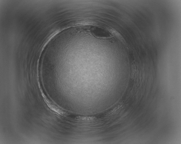 X0000051251039200507011647