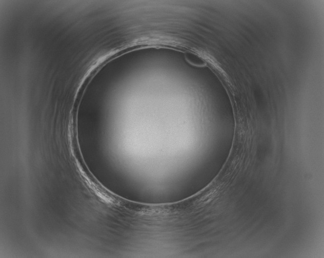 X0000051251040200507011647