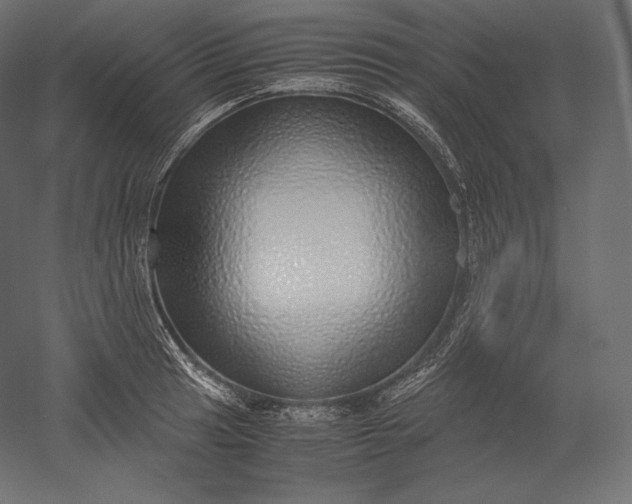 X0000051251041200507011647