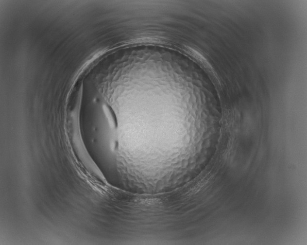 X0000051251043200507011647