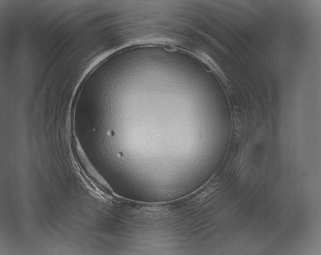 X0000051251044200507011647