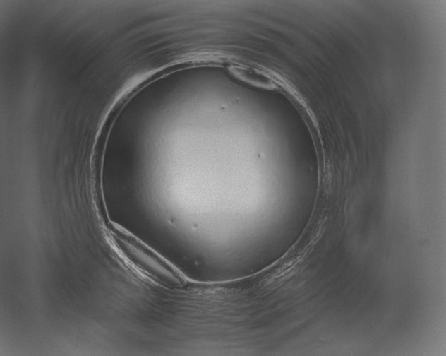 X0000051251045200507011647