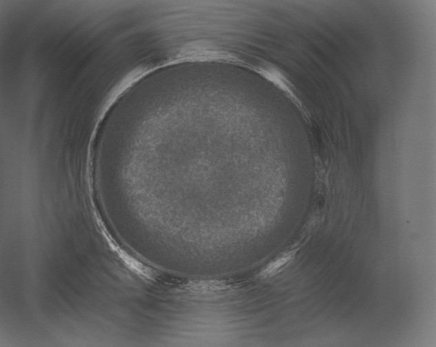 X0000051251046200507011647