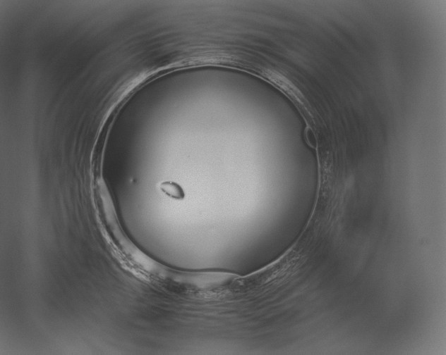 X0000051251047200507011647