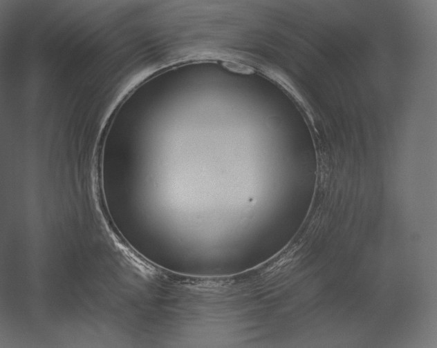 X0000051251048200507011647