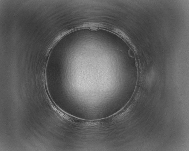 X0000051251049200507011647