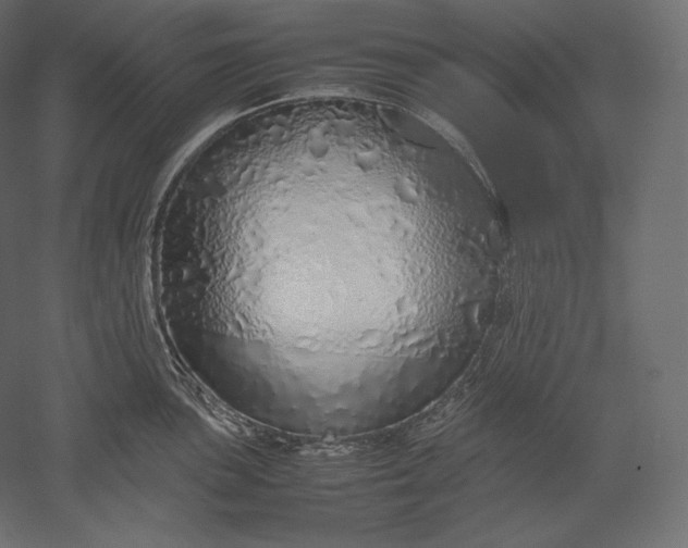 X0000051251051200507011647