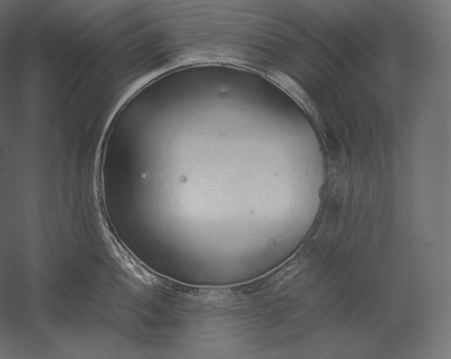 X0000051251052200507011647