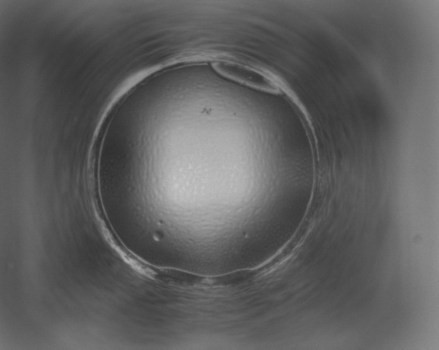 X0000051251053200507011647