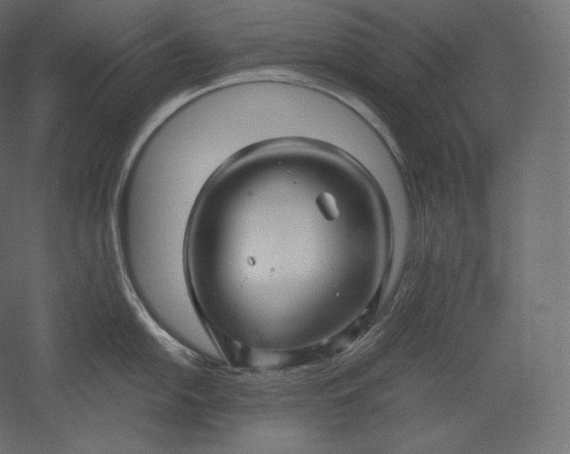 X0000051251054200507011647