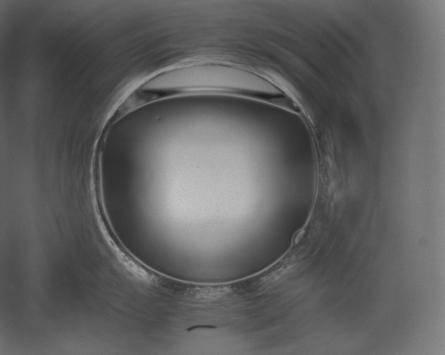 X0000051251055200507011647