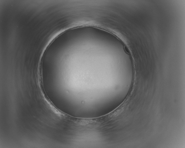 X0000051251056200507011647