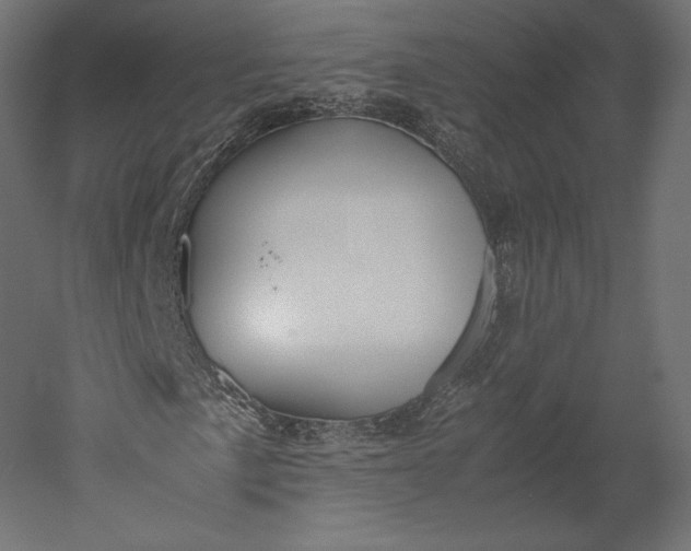 X0000051251057200507011646