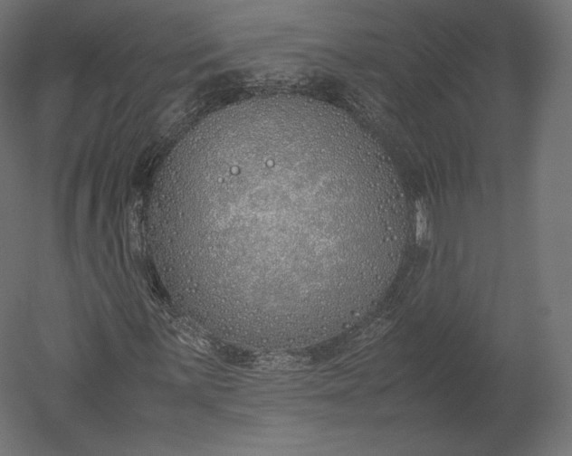 X0000051251059200507011646