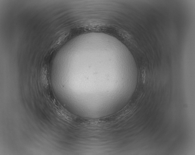 X0000051251060200507011646