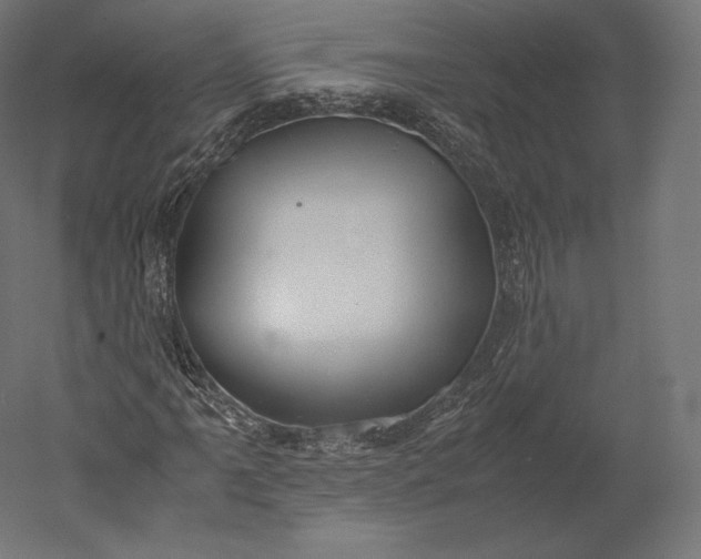 X0000051251061200507011646