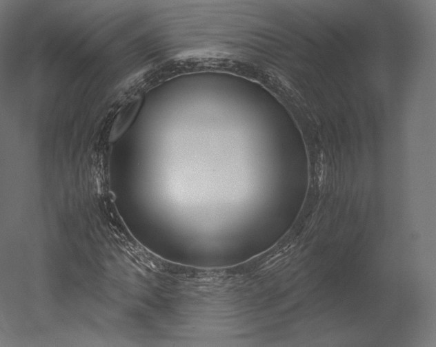 X0000051251062200507011646