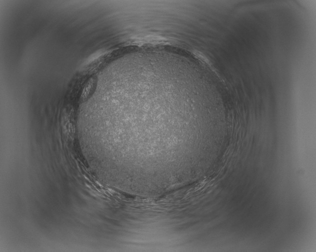 X0000051251063200507011646