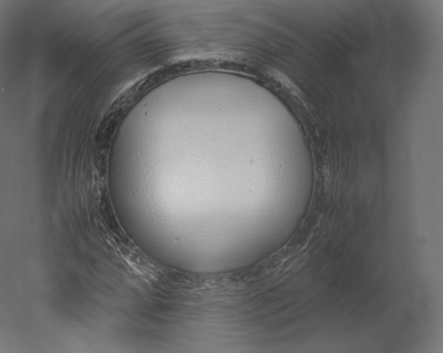 X0000051251064200507011646