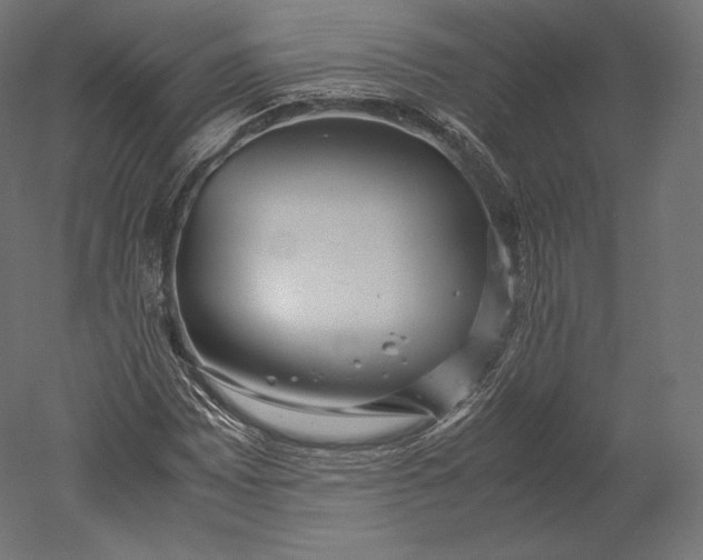 X0000051251065200507011646