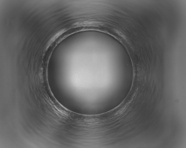 X0000051251066200507011646