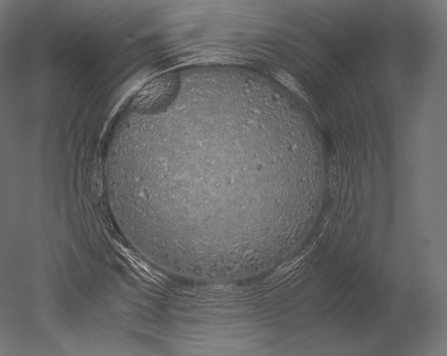 X0000051251067200507011646