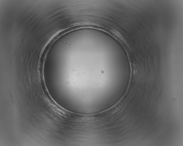 X0000051251068200507011646