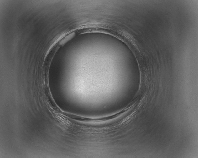 X0000051251069200507011646