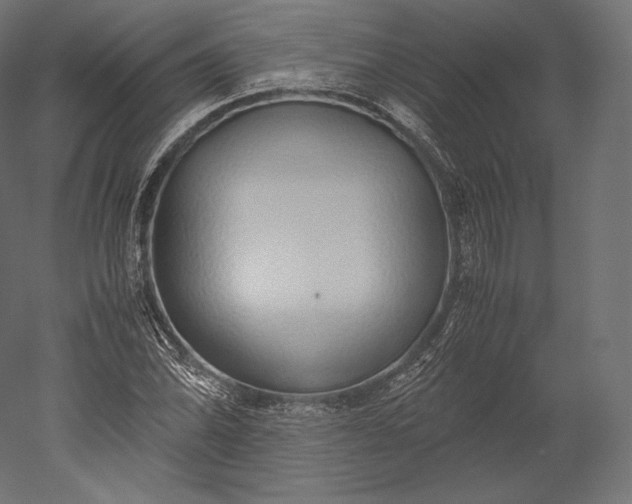 X0000051251070200507011646