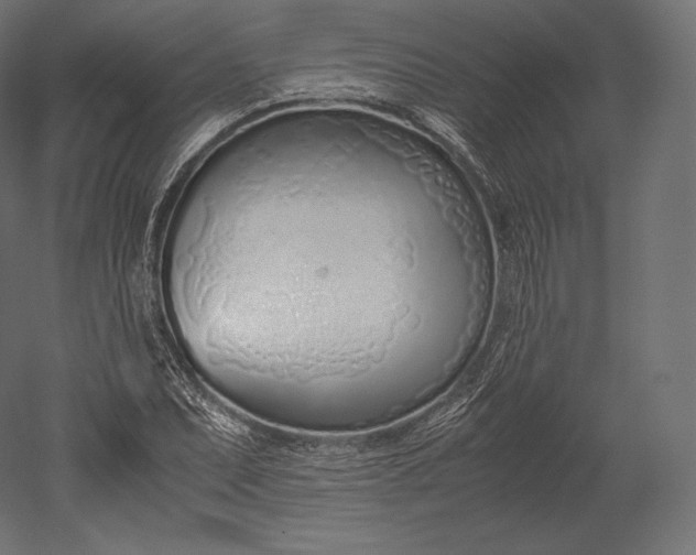 X0000051251071200507011646