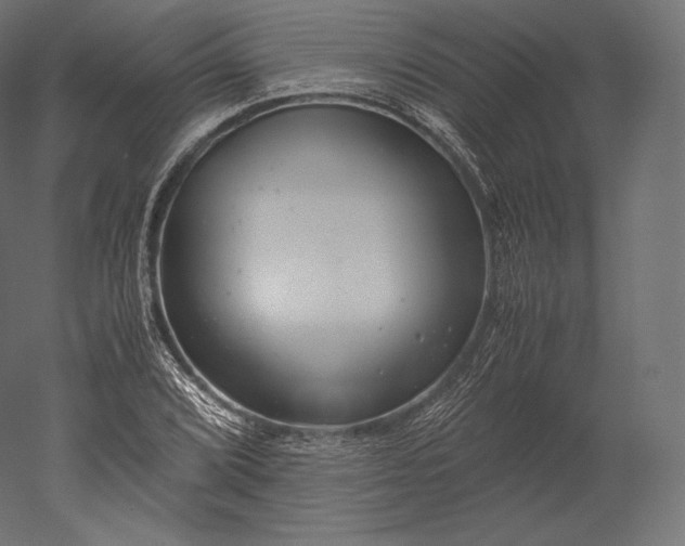 X0000051251072200507011646