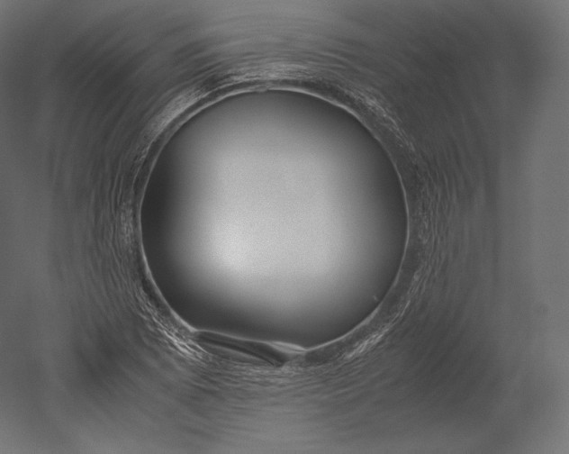 X0000051251073200507011646