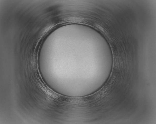 X0000051251074200507011646