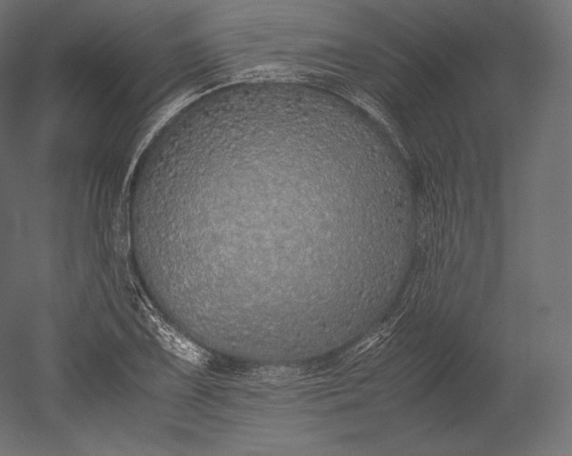 X0000051251075200507011646