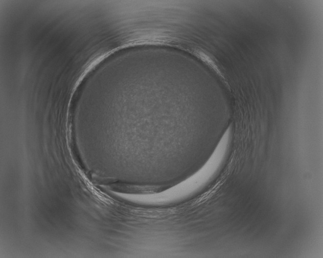 X0000051251077200507011646