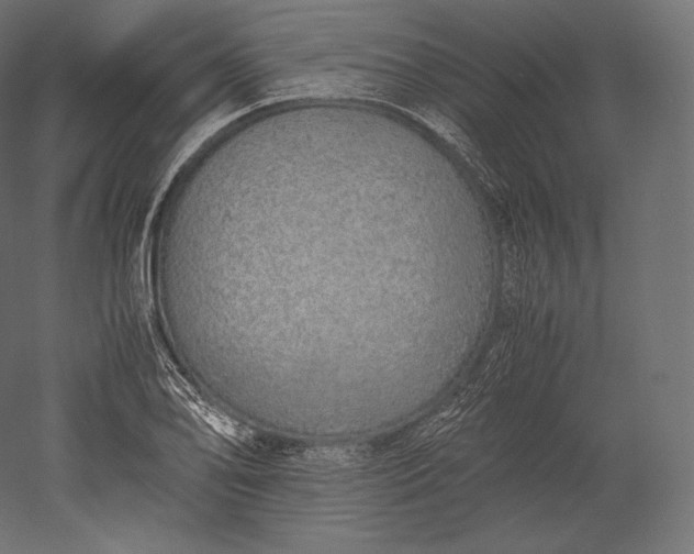 X0000051251078200507011646