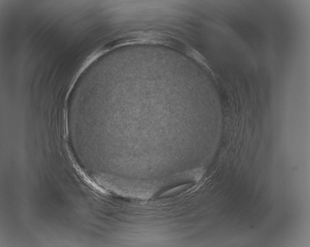 X0000051251079200507011646