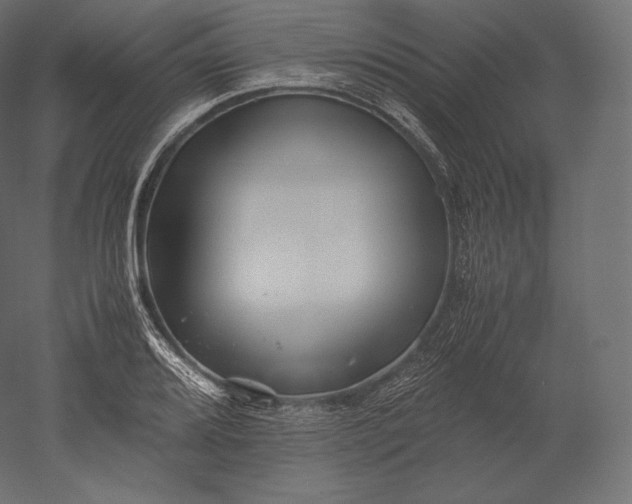 X0000051251080200507011646