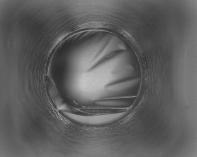 X0000051251081200507011646