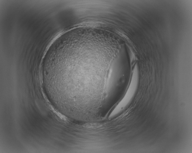 X0000051251083200507011646