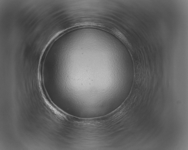 X0000051251084200507011646