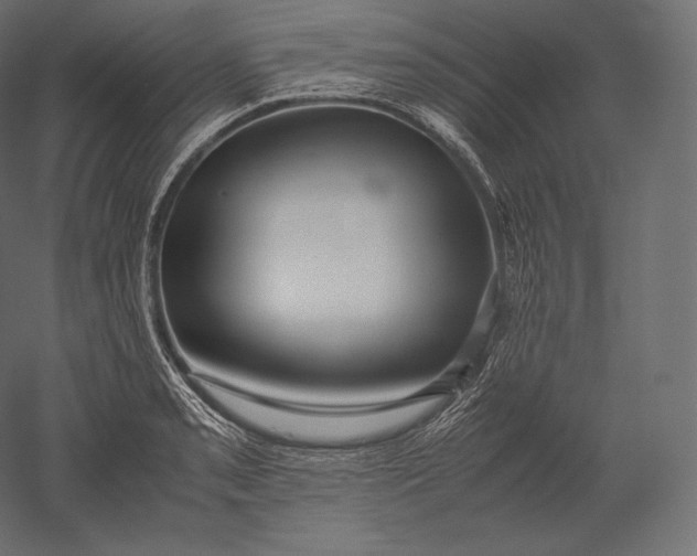 X0000051251085200507011646