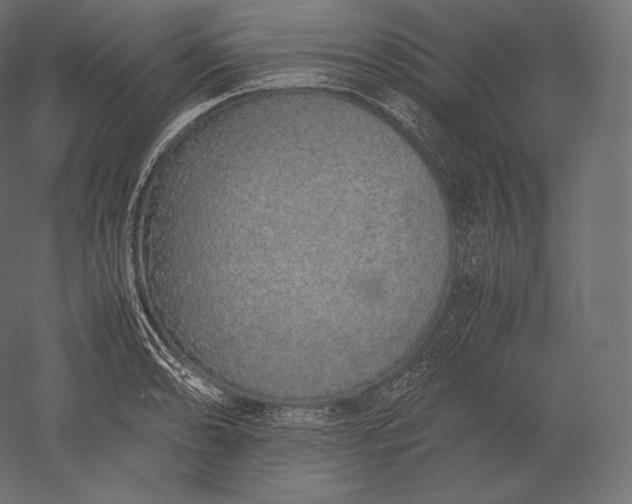 X0000051251086200507011646