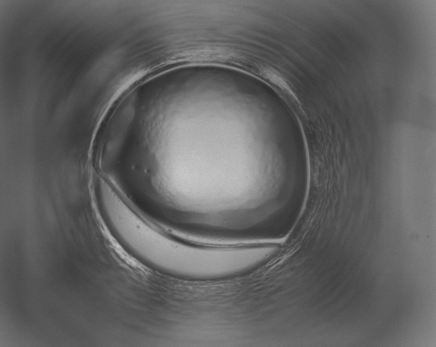 X0000051251087200507011646