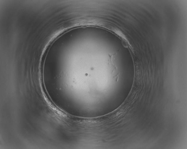 X0000051251088200507011646