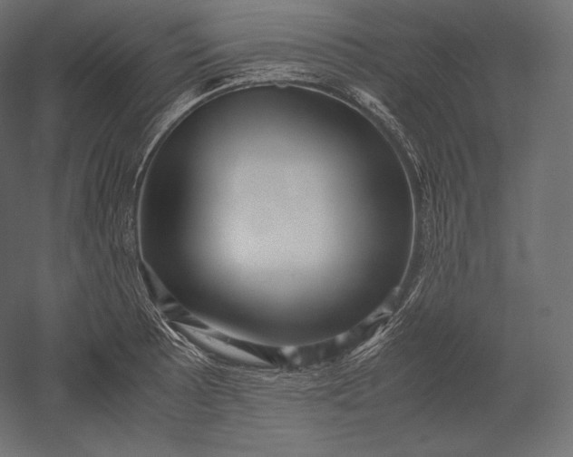 X0000051251089200507011646