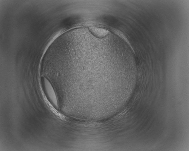 X0000051251091200507011646